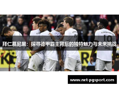 拜仁慕尼黑：探寻德甲霸主背后的独特魅力与未来挑战