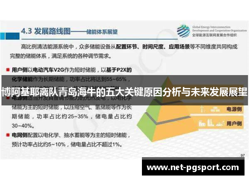 博阿基耶离队青岛海牛的五大关键原因分析与未来发展展望