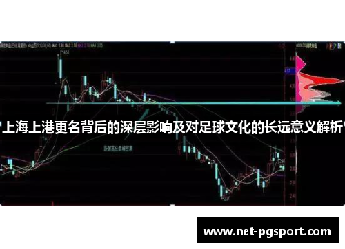 上海上港更名背后的深层影响及对足球文化的长远意义解析