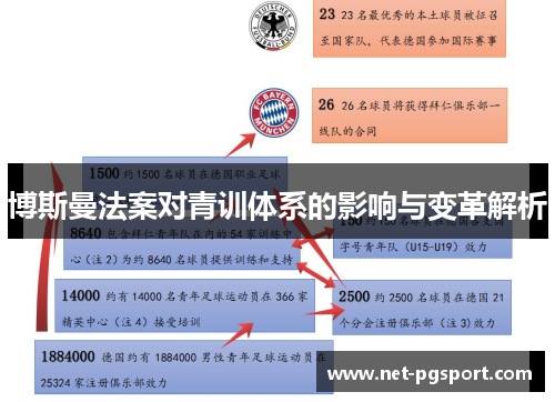 博斯曼法案对青训体系的影响与变革解析