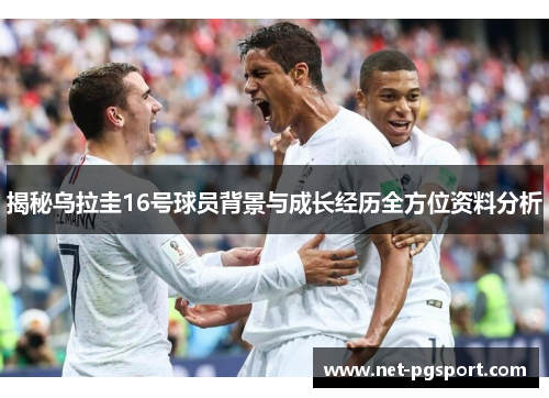 揭秘乌拉圭16号球员背景与成长经历全方位资料分析