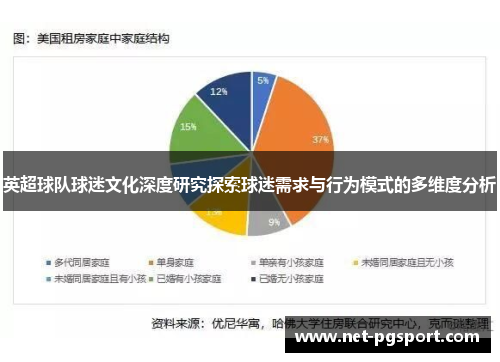 英超球队球迷文化深度研究探索球迷需求与行为模式的多维度分析