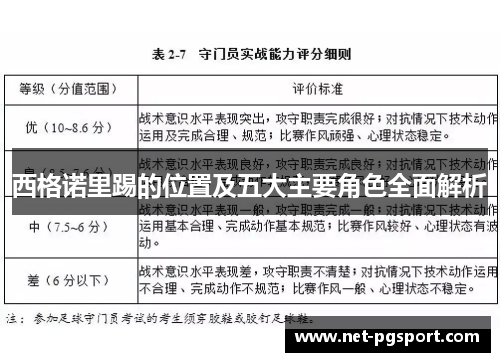 西格诺里踢的位置及五大主要角色全面解析