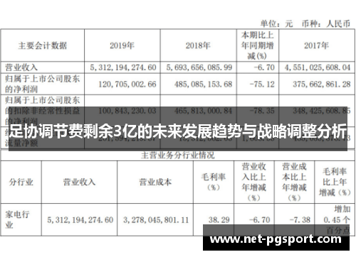 足协调节费剩余3亿的未来发展趋势与战略调整分析