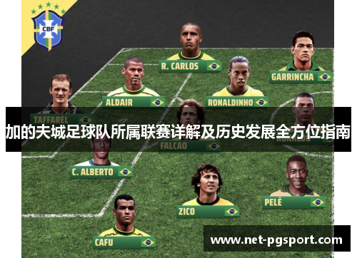 加的夫城足球队所属联赛详解及历史发展全方位指南 加的夫城足球队所属联赛详解及历史发展全方位指南
