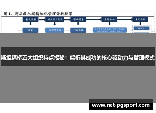斯坦福桥五大组织特点揭秘：解析其成功的核心驱动力与管理模式