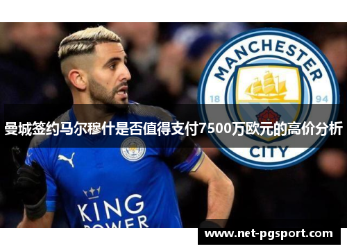 曼城签约马尔穆什是否值得支付7500万欧元的高价分析