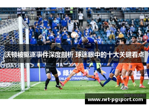 沃顿被驱逐事件深度剖析 球迷眼中的十大关键看点