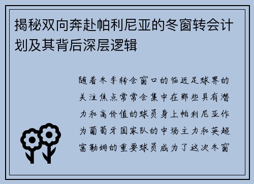 揭秘双向奔赴帕利尼亚的冬窗转会计划及其背后深层逻辑